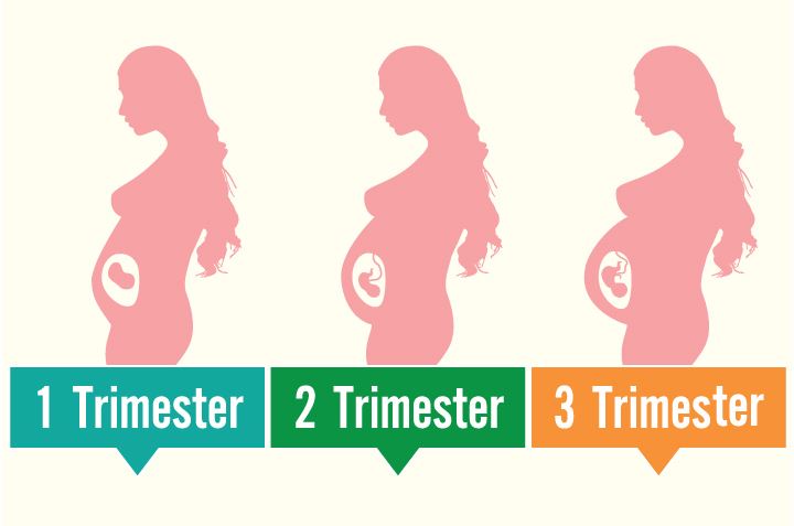 Hal Penting yang Perlu Diketahui Dalam Trimester Kehamilan